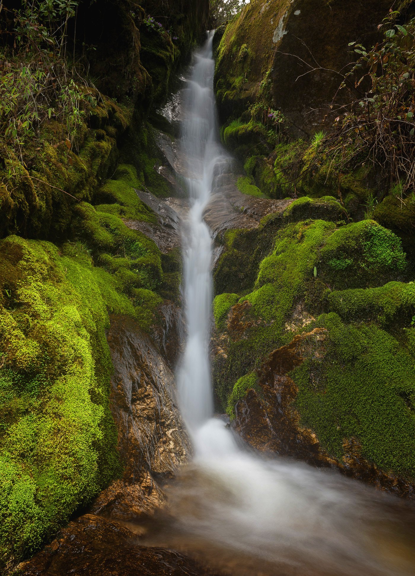 🏞️ 진바 폭포(진바노타키) 이미지 7